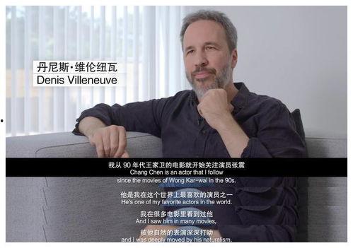 最新茶叶爆料新闻视频